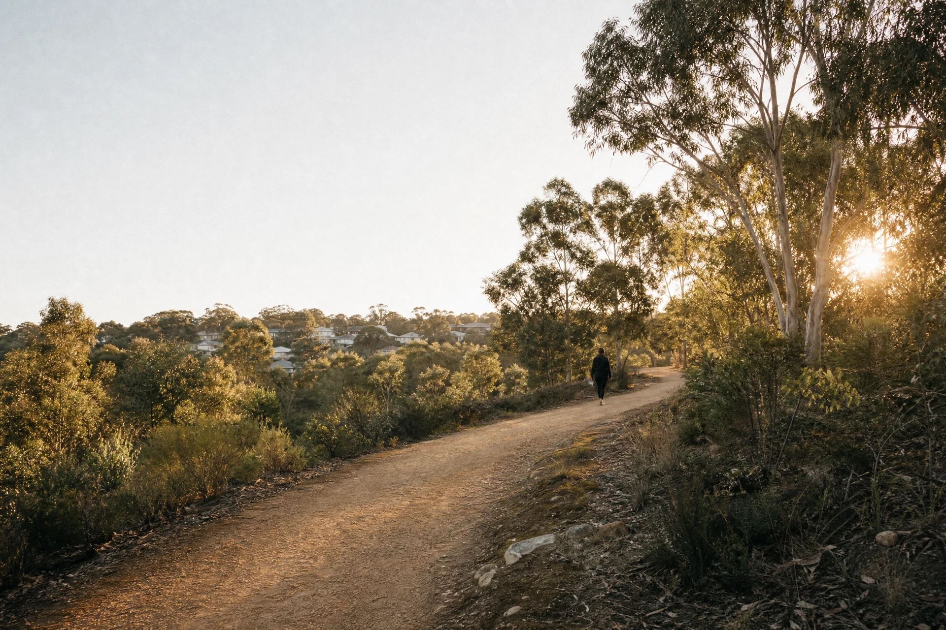 A walking path curving through Australian bushland
